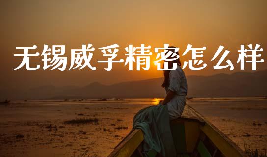无锡威孚精密怎么样_https://www.apanben.com_财经资讯_第1张