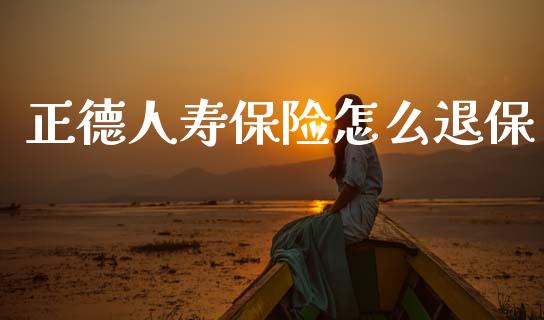 正德人寿保险怎么退保_https://www.apanben.com_国际财经_第1张