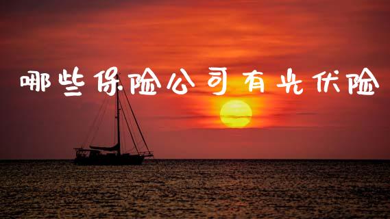 哪些保险公司有光伏险_https://www.apanben.com_国际期货_第1张