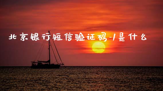 北京银行短信验证码-1是什么_https://www.apanben.com_在线喊单_第1张