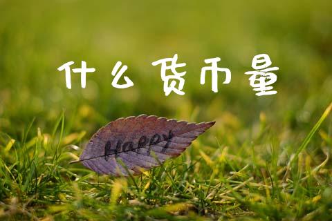 什么货币量_https://www.apanben.com_国际财经_第1张