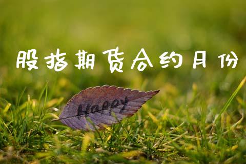 股指期货合约月份_https://www.apanben.com_国际期货_第1张