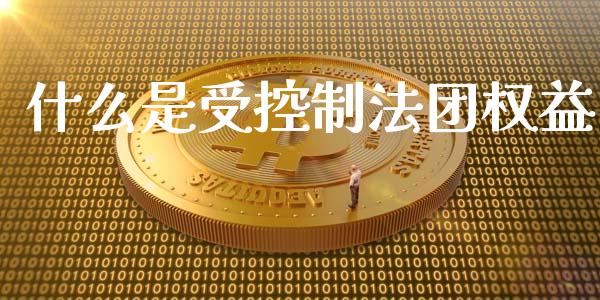 什么是受控制法团权益_https://www.apanben.com_期货学院_第1张
