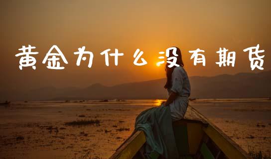 黄金为什么没有期货_https://www.apanben.com_期货学院_第1张