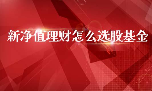 新净值理财怎么选股基金_https://www.apanben.com_国际财经_第1张