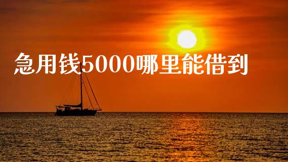 急用钱5000哪里能借到_https://www.apanben.com_国际期货_第1张
