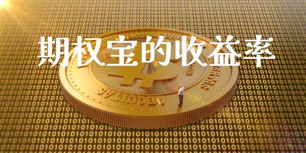 期权宝的收益率_https://www.apanben.com_财经资讯_第1张