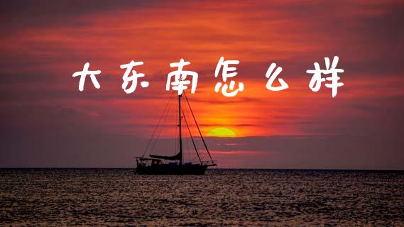 大东南怎么样_https://www.apanben.com_国际期货_第1张