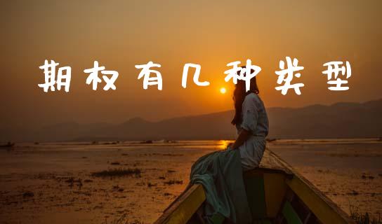 期权有几种类型_https://www.apanben.com_股票怎么玩_第1张