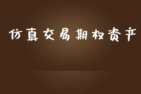 仿真交易期权资产_https://www.apanben.com_期货学院_第1张