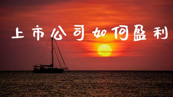 上市公司如何盈利_https://www.apanben.com_期货学院_第1张