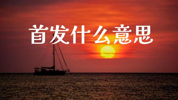 首发什么意思_https://www.apanben.com_股票怎么玩_第1张