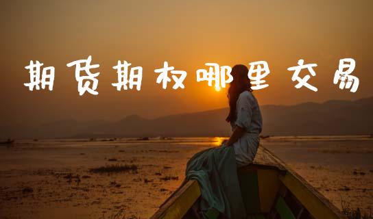期货期权哪里交易_https://www.apanben.com_股市分析_第1张