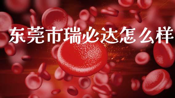 东莞市瑞必达怎么样_https://www.apanben.com_财经资讯_第1张