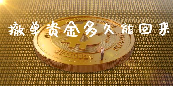 撤单资金多久能回来_https://www.apanben.com_股票怎么玩_第1张