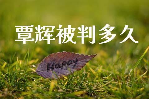 覃辉被判多久_https://www.apanben.com_股市指导_第1张