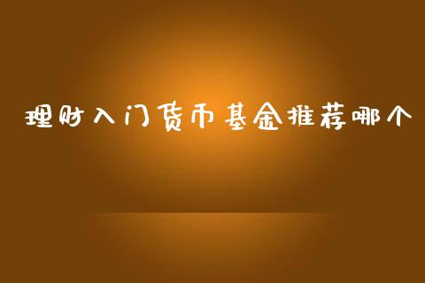 理财入门货币基金推荐哪个_https://www.apanben.com_国际财经_第1张