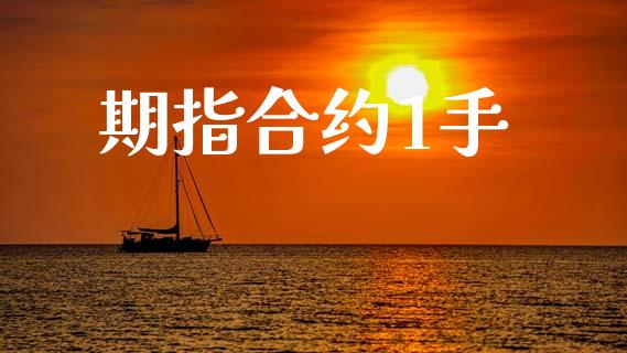 期指合约1手_https://www.apanben.com_国际期货_第1张