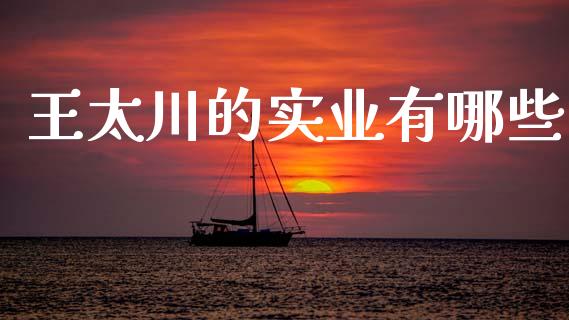 王太川的实业有哪些_https://www.apanben.com_股市分析_第1张
