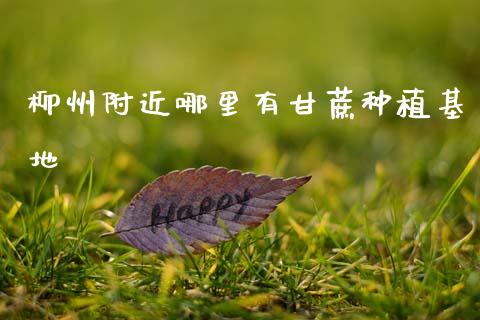 柳州附近哪里有甘蔗种植基地_https://www.apanben.com_国际财经_第1张