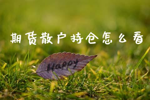 期货散户持仓怎么看_https://www.apanben.com_股票怎么玩_第1张