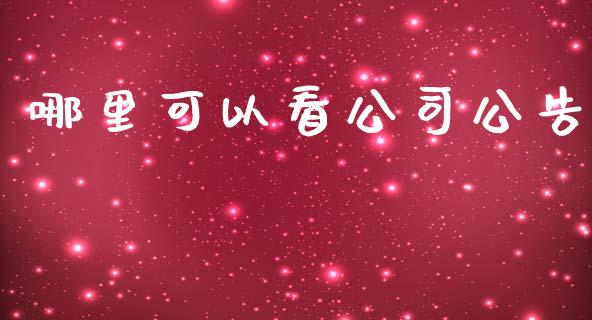 哪里可以看公司公告_https://www.apanben.com_国际财经_第1张
