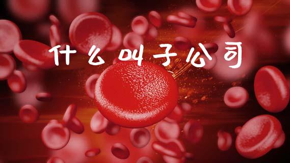 什么叫子公司_https://www.apanben.com_股市指导_第1张