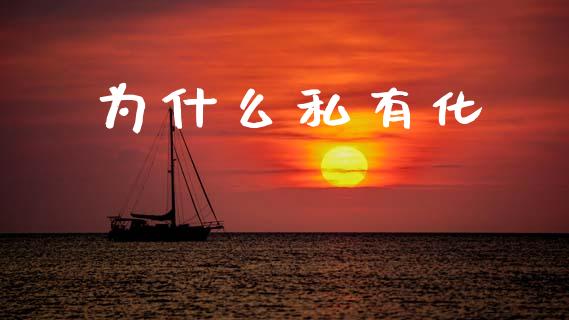 为什么私有化_https://www.apanben.com_股市指导_第1张