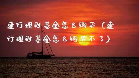 建行理财基金怎么购买（建行理财基金怎么购买不了）_https://www.apanben.com_国际财经_第1张