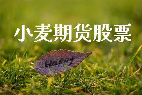 小麦期货股票_https://www.apanben.com_股票怎么玩_第1张