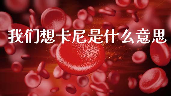 我们想卡尼是什么意思_https://www.apanben.com_股市指导_第1张