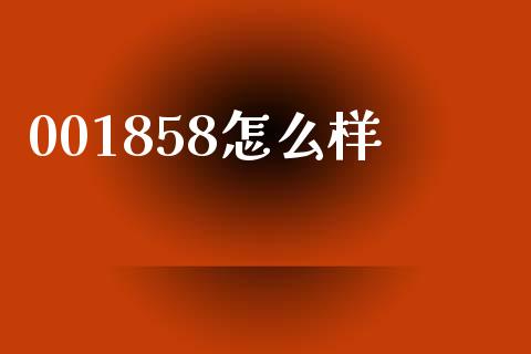 001858怎么样_https://www.apanben.com_国际期货_第1张