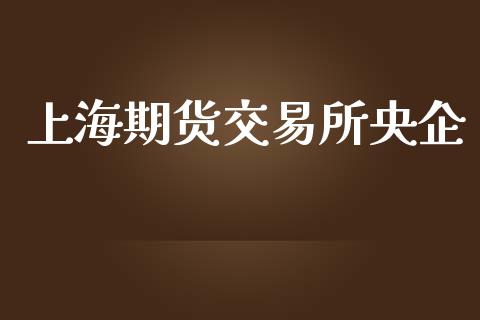 上海期货交易所央企_https://www.apanben.com_股市指导_第1张