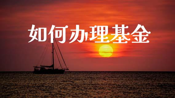 如何办理基金_https://www.apanben.com_国际期货_第1张