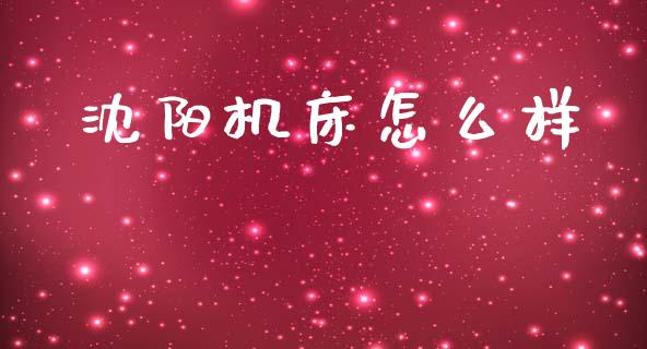 沈阳机床怎么样_https://www.apanben.com_期货学院_第1张