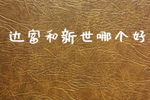 达富和新世哪个好_https://www.apanben.com_股市指导_第1张