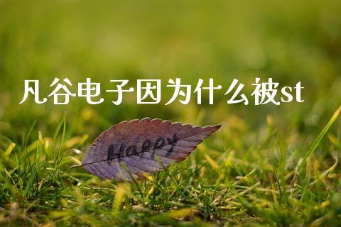凡谷电子因为什么被st_https://www.apanben.com_期货学院_第1张