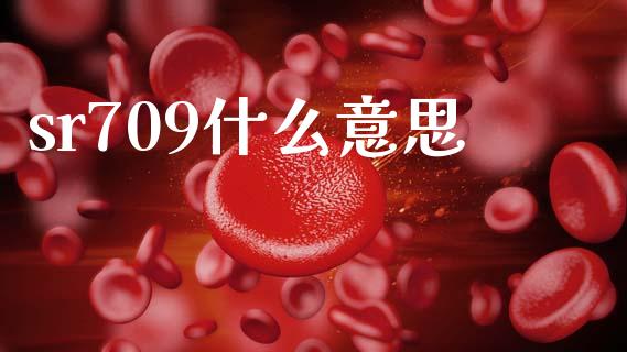 sr709什么意思_https://www.apanben.com_股市指导_第1张