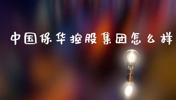中国保华控股集团怎么样_https://www.apanben.com_期货学院_第1张