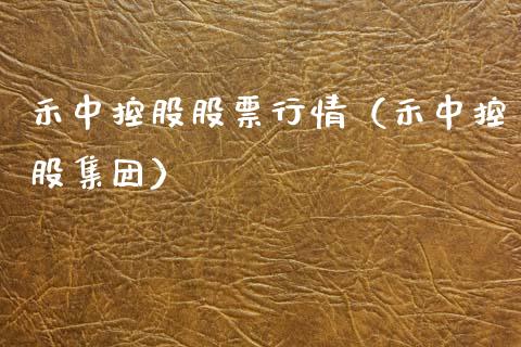 禾中控股股票行情（禾中控股集团）_https://www.apanben.com_股票怎么玩_第1张