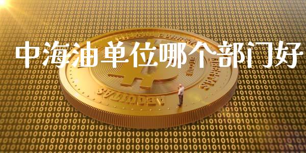 中海油单位哪个部门好_https://www.apanben.com_股市分析_第1张