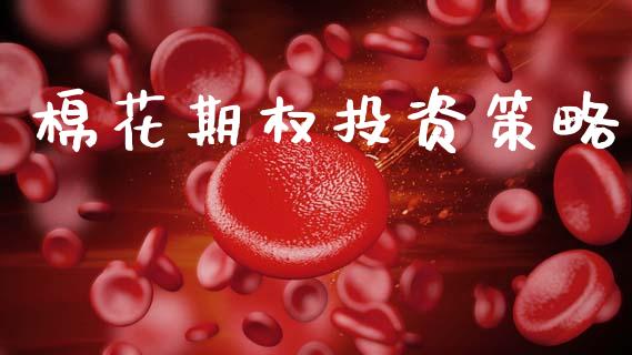 棉花期权投资策略_https://www.apanben.com_股市分析_第1张