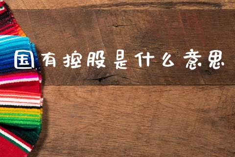 国有控股是什么意思_https://www.apanben.com_股市指导_第1张