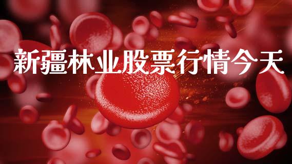 新疆林业股票行情今天_https://www.apanben.com_股市指导_第1张