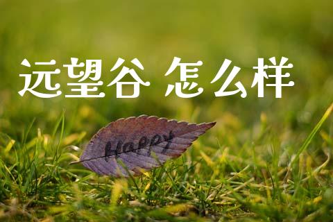 远望谷 怎么样_https://www.apanben.com_国际财经_第1张