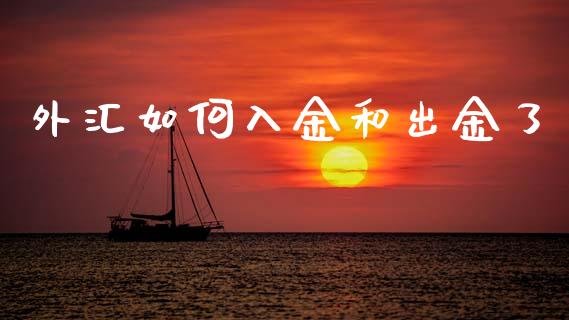 外汇如何入金和出金了_https://www.apanben.com_国际期货_第1张