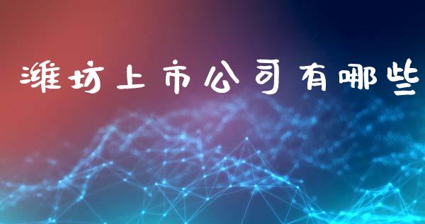 潍坊上市公司有哪些_https://www.apanben.com_股市指导_第1张
