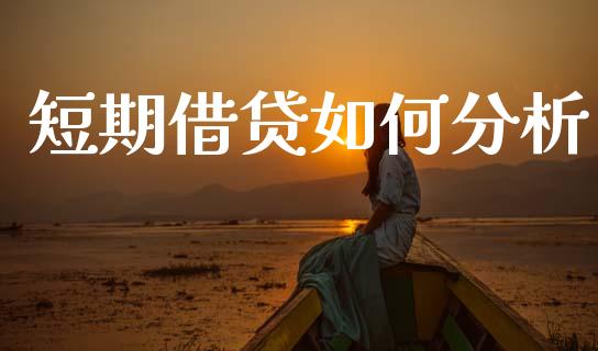 短期借贷如何分析_https://www.apanben.com_股票怎么玩_第1张
