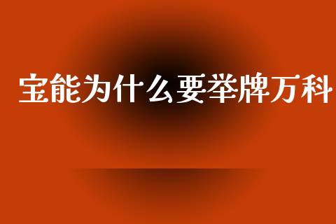 宝能为什么要举牌万科_https://www.apanben.com_股票怎么玩_第1张