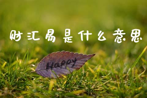 财汇易是什么意思_https://www.apanben.com_国际财经_第1张
